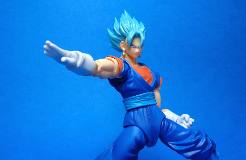 shf vegetto